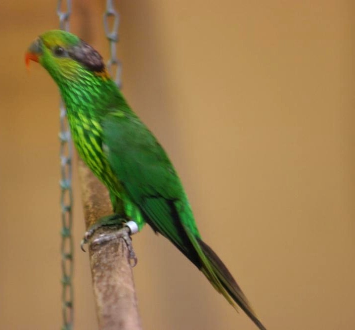 Foto 6
